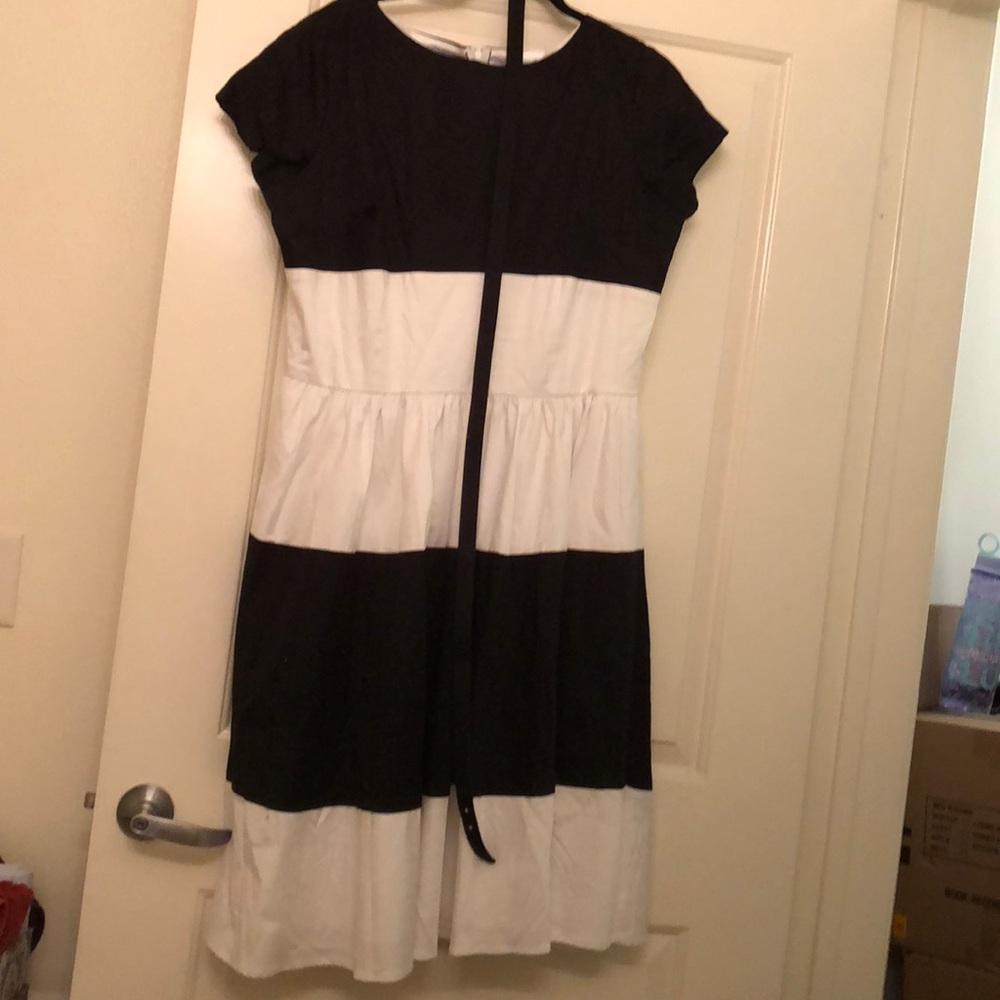 Pinup Couture colorblock dress.